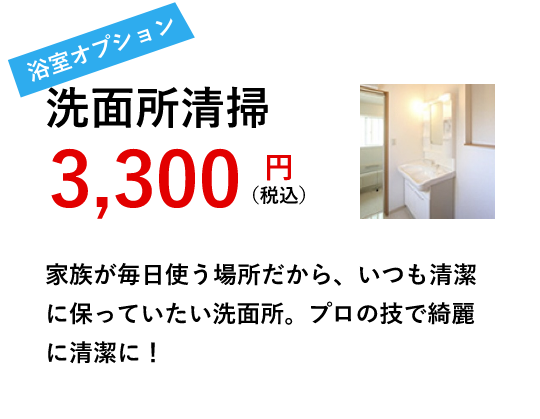 洗面所清掃