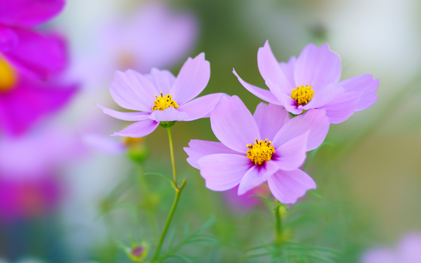 たらいの水の原理 - クリーン彩花